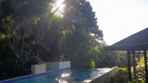 Una piscina con escalones que bajan al agua, rodeada de vegetación exuberante y palmeras.