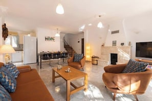 Smart TV, fireplace, books