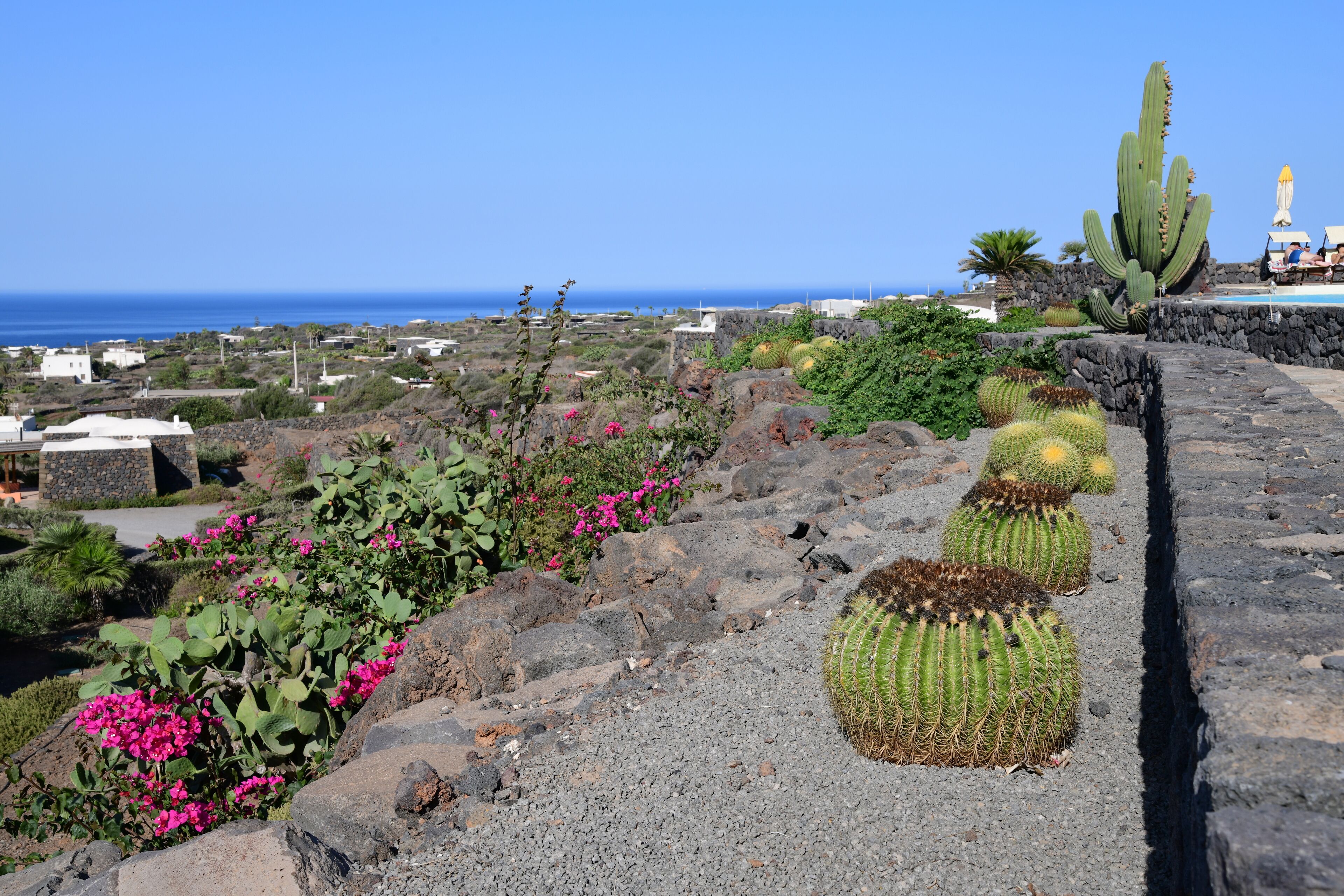 A garden with cacti and pink flowers, a stone wall, and a view of the ocean and buildings.
