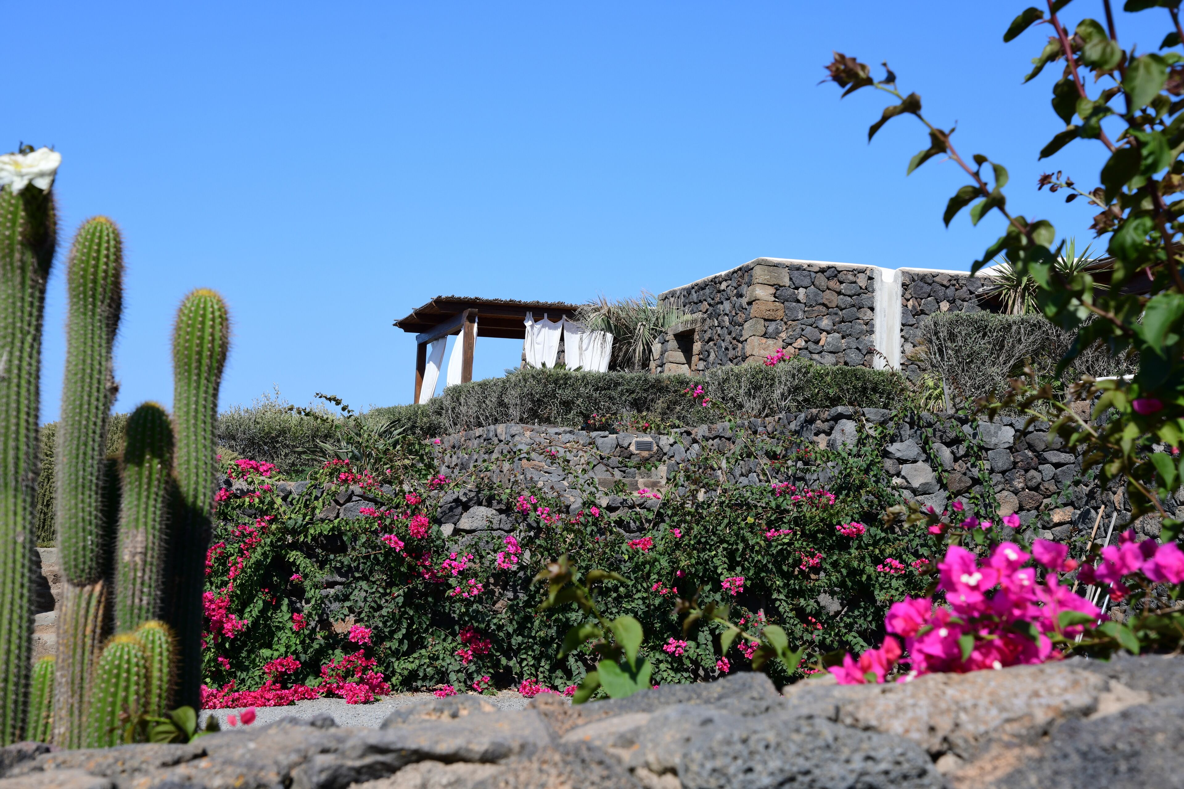 A stone building with a pergola on a hillside, surrounded by cacti and flowering plants.