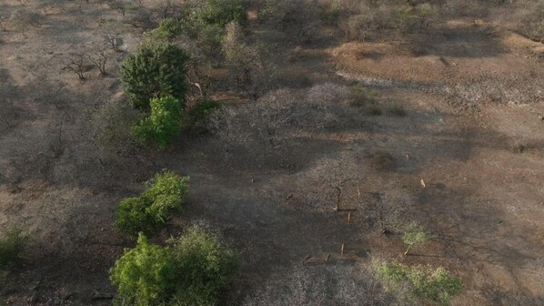 施設からの眺望