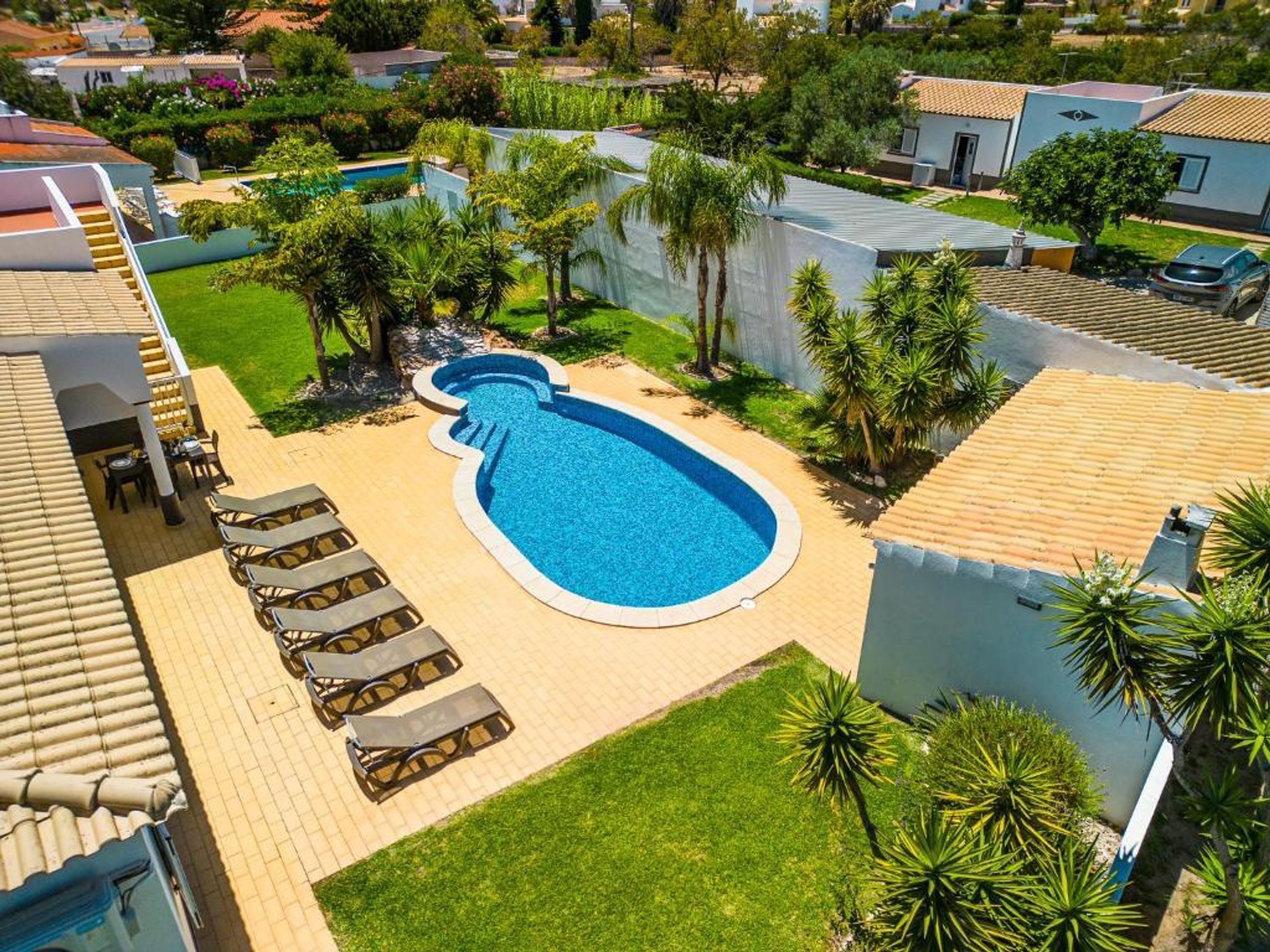 Una piscina con sillones de descanso, rodeada de palmeras y un deck empinado.