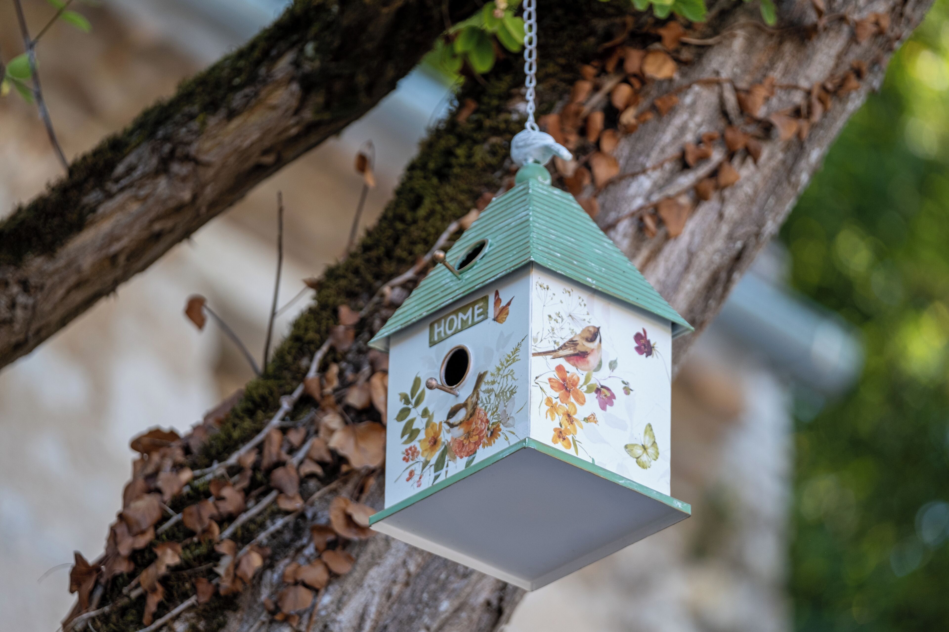 A birdhouse hanging from a tree branch.