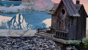Un comedero de pájaros de madera cerca de un cuerpo de agua, con una puesta de sol al fondo.