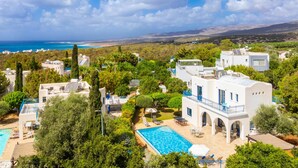Eine mediterrane Villa mit Swimmingpool, üppiger Vegetation und Meerblick.