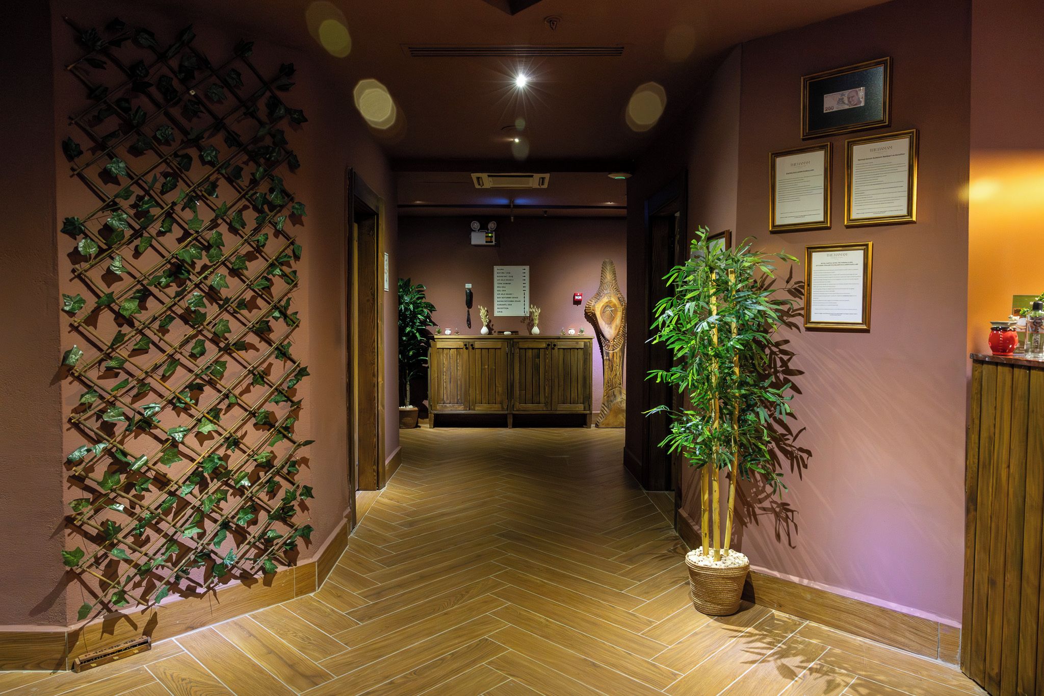 A hotel lobby with a wooden reception desk, a wall-mounted plant, and framed certificates on the wall.