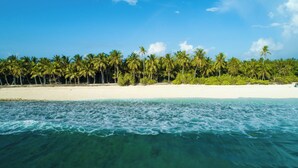Una playa con agua turquesa cristalina y una hilera de palmeras.