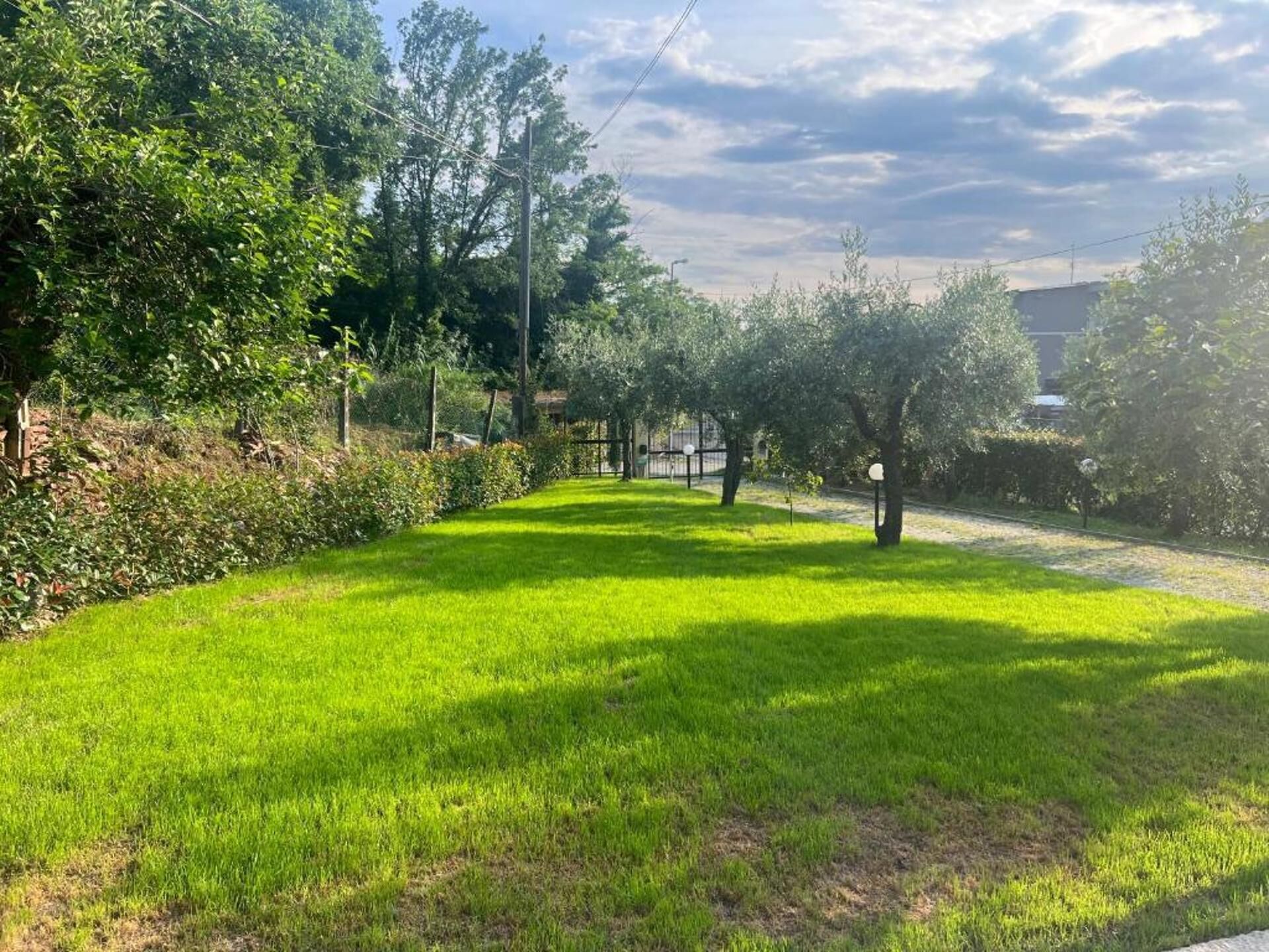 Un área verde bien cuidada con árboles y un cielo despejado.