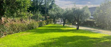 Un área verde bien cuidada con árboles y un cielo despejado.
