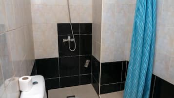 Single Room | Bathroom | Shower, towels, soap, toilet paper