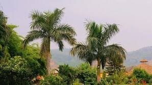A swimming pool surrounded by lush greenery and palm trees. - Limewood Riverside Resort (Ramnagar)