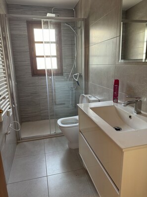 Shower, hair dryer, bidet, towels