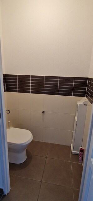Hair dryer, towels, toilet paper - Magnificent apartment  (Prévessin-Moëns)