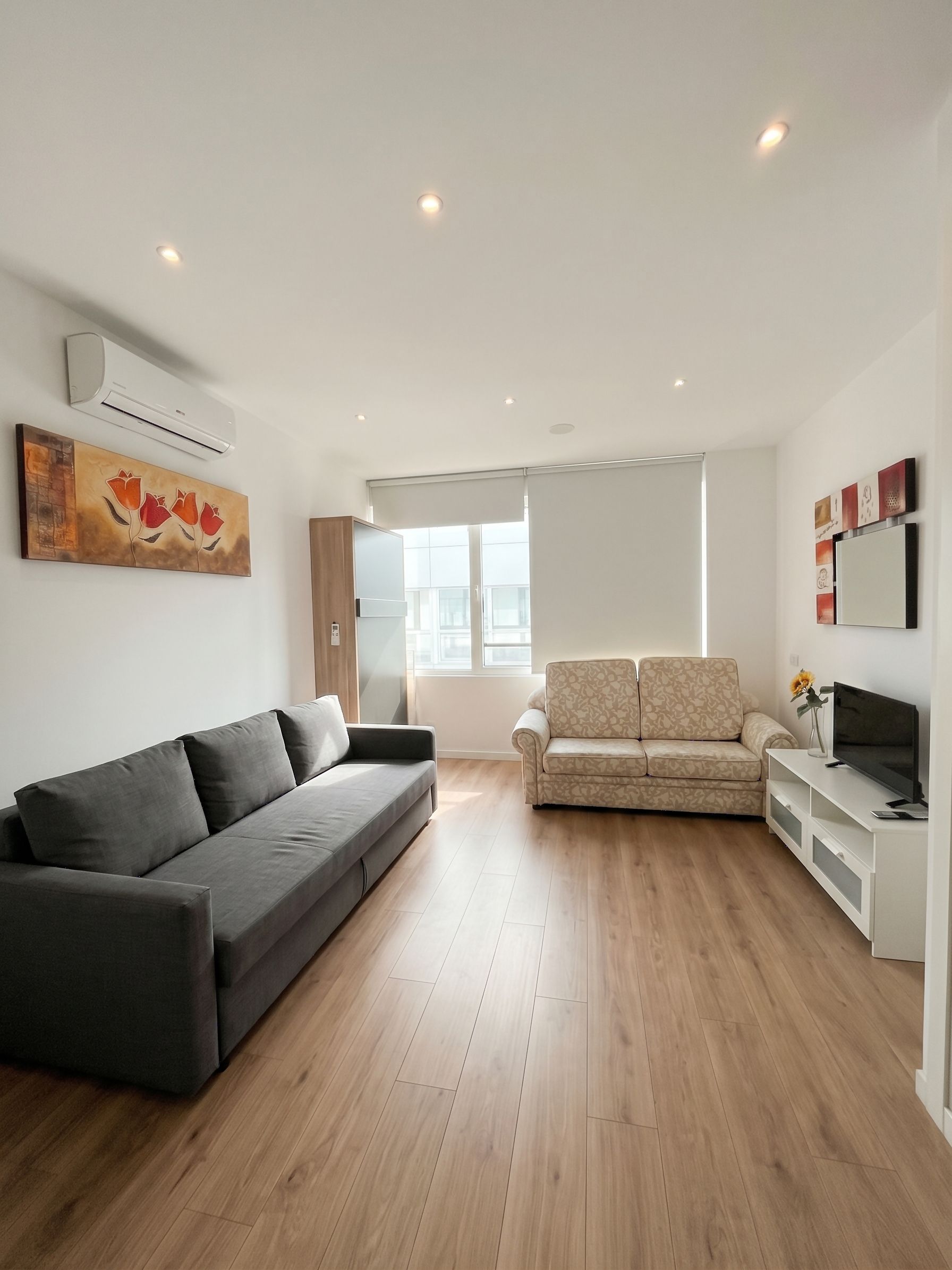 A modern living room with a grey sofa, a beige patterned sofa, and a TV stand with a flat-screen TV.