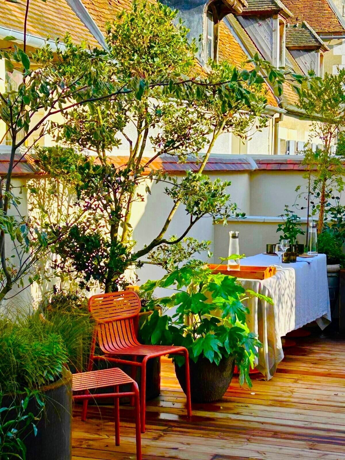 Terraza o patio