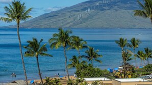 A beach with palm trees, a view of wind turbines in the background, and a clear sky. - In the Center of It all, walkable Kihei comfort (Kihei)