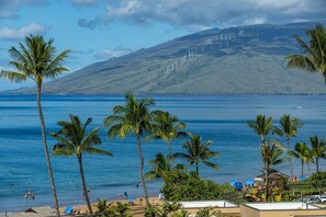 Beach nearby - In the Center of It all, walkable Kihei comfort (Kihei)