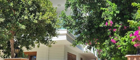 Façade de lâhĂ©bergement