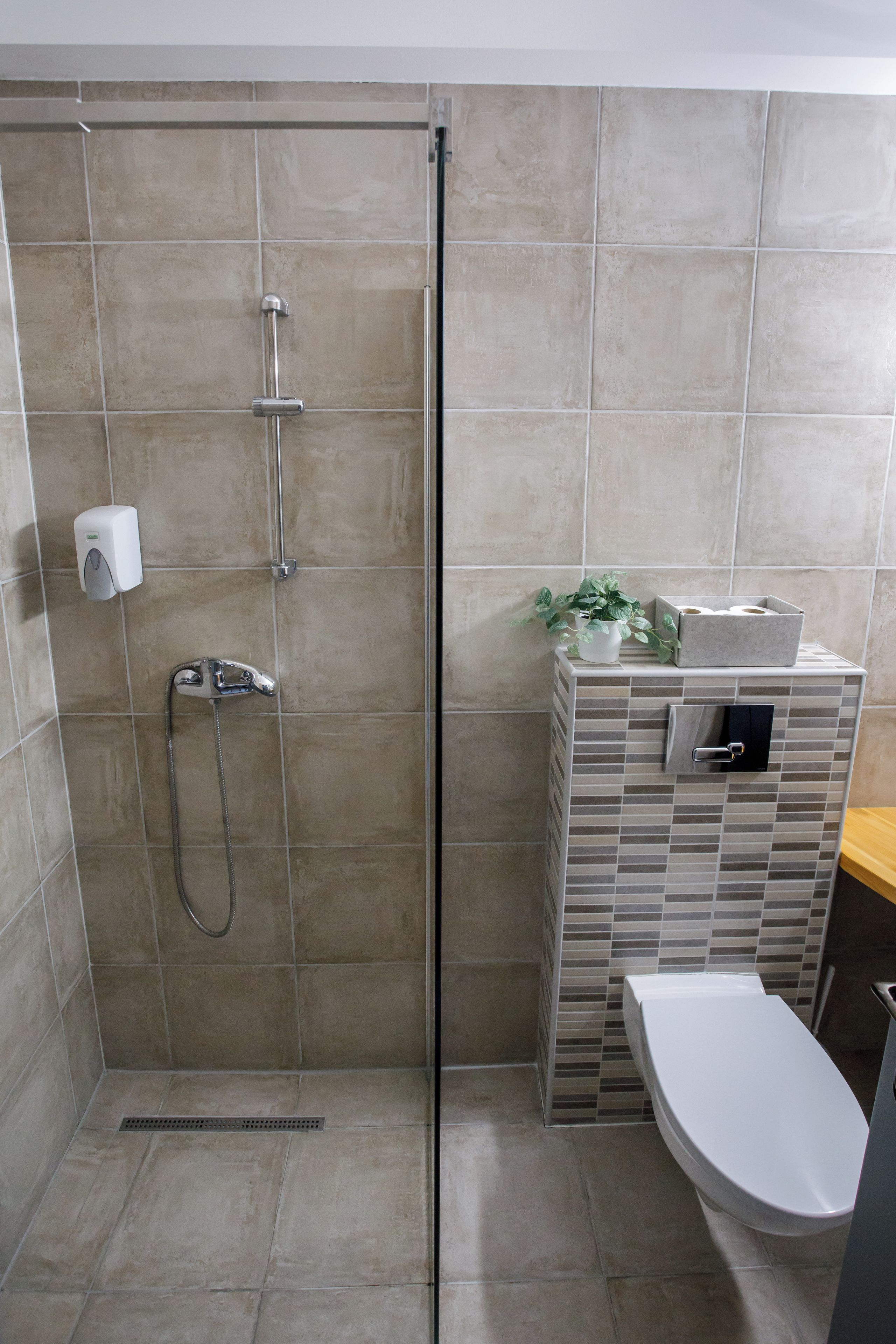 A bathroom with a glass-enclosed shower, a toilet, and a small sink area with a plant and storage box.