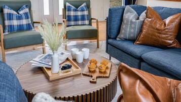 TV, lareira, livros, escritórios