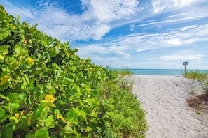 Beach nearby, sun loungers, beach towels