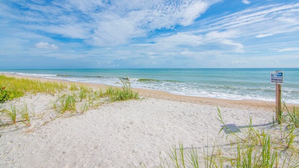 Ein Strand mit blauem Himmel und ruhigem Wasser.