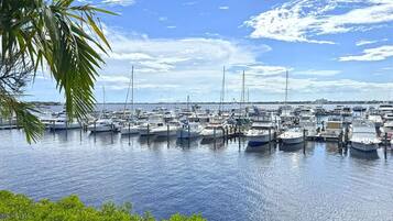 A marina with numerous boats docked in calm waters, surrounded by greenery and a clear sky.