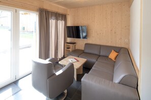 TV, fireplace, DVD player