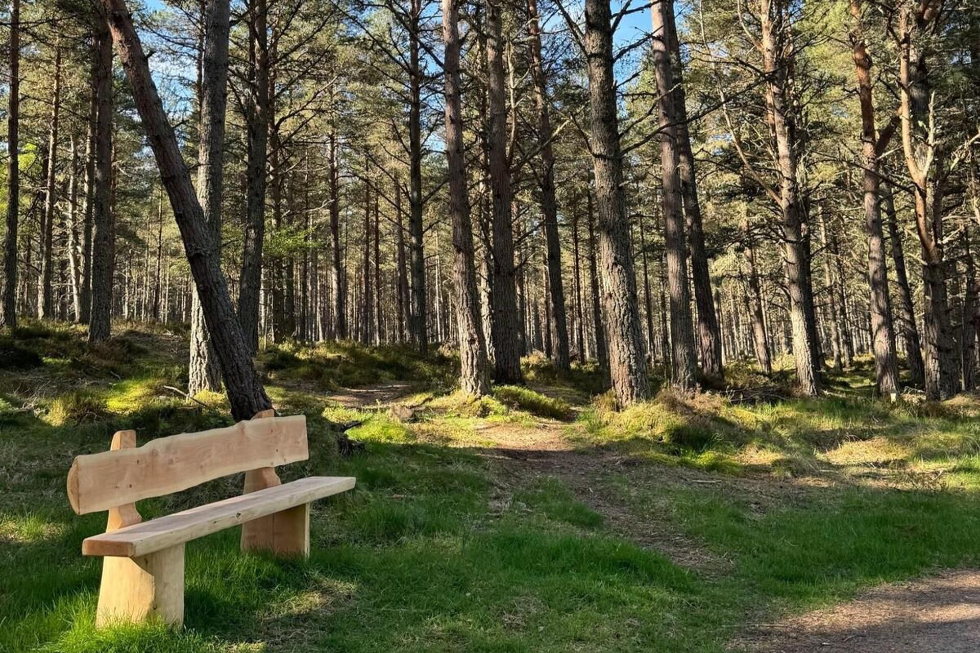 Chalet | Property grounds