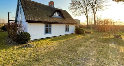 Vacation home at Salzgrasland - cozy, quiet vacation home in the middle of nature