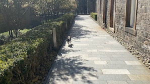 Een geplaveid pad omzoomd door strak bijgesnoeide hagen en bomen met herfstkleuren.