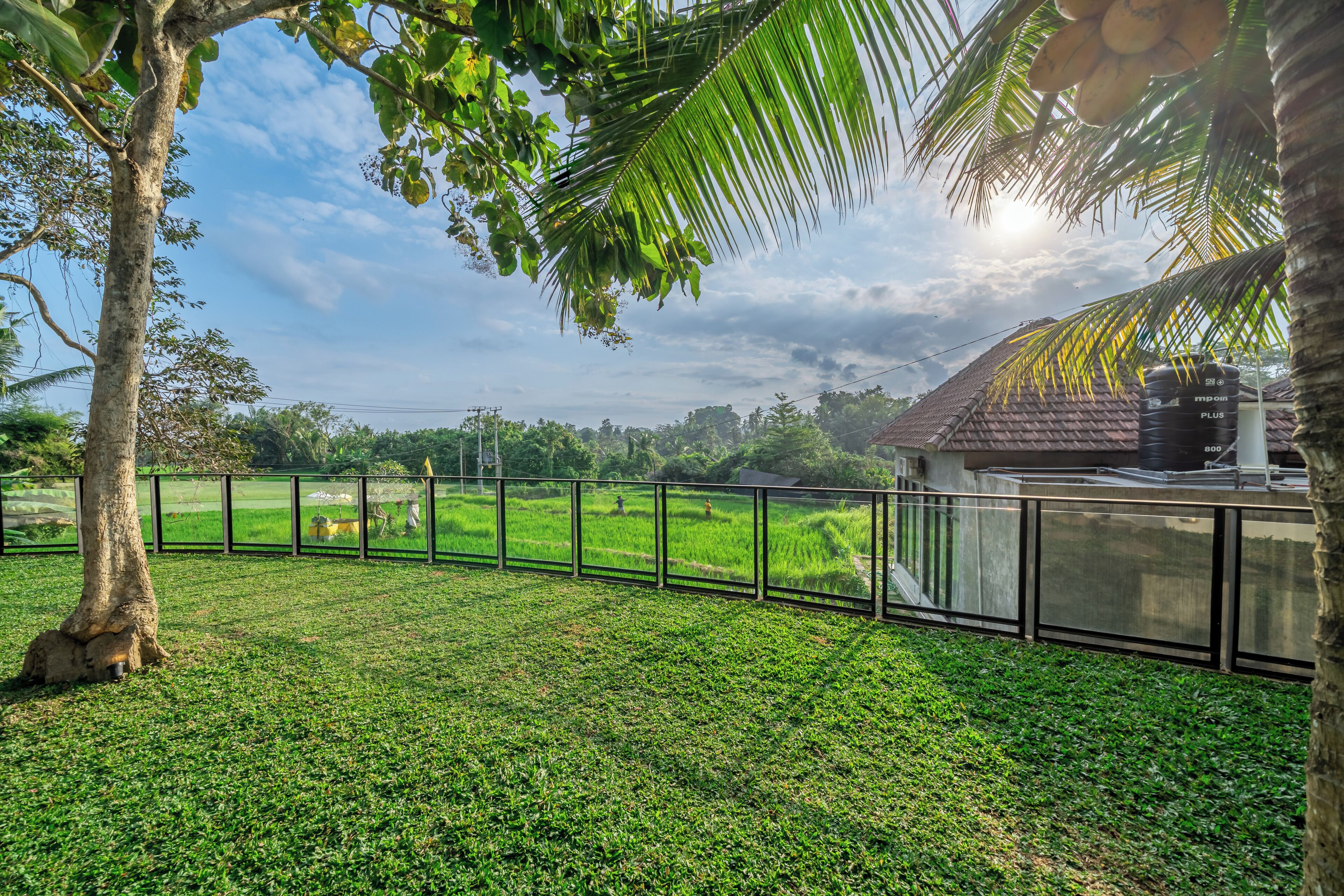 A fenced grassy area with a palm tree and a building with a tiled roof.