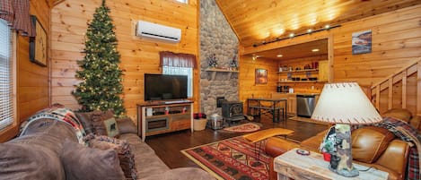 Fernseher, Kamin, DVD-Player