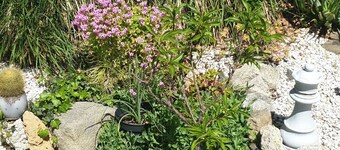 My gîte in Pélasque ***, open all year round, 45 minutes from Nice airport