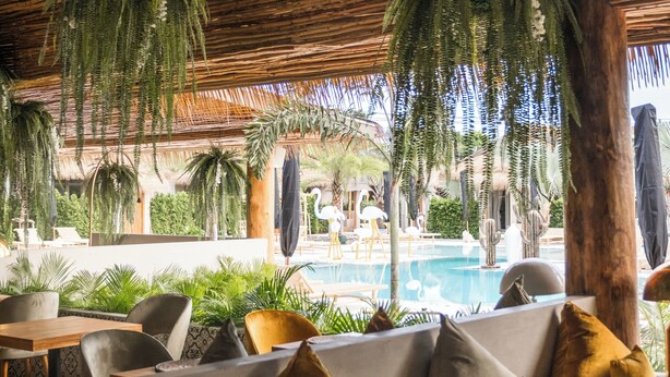 Un espace extérieur aménagé avec des tables en bois et des bancs rembourrés, une piscine en arrière-plan et des plantes suspendues.