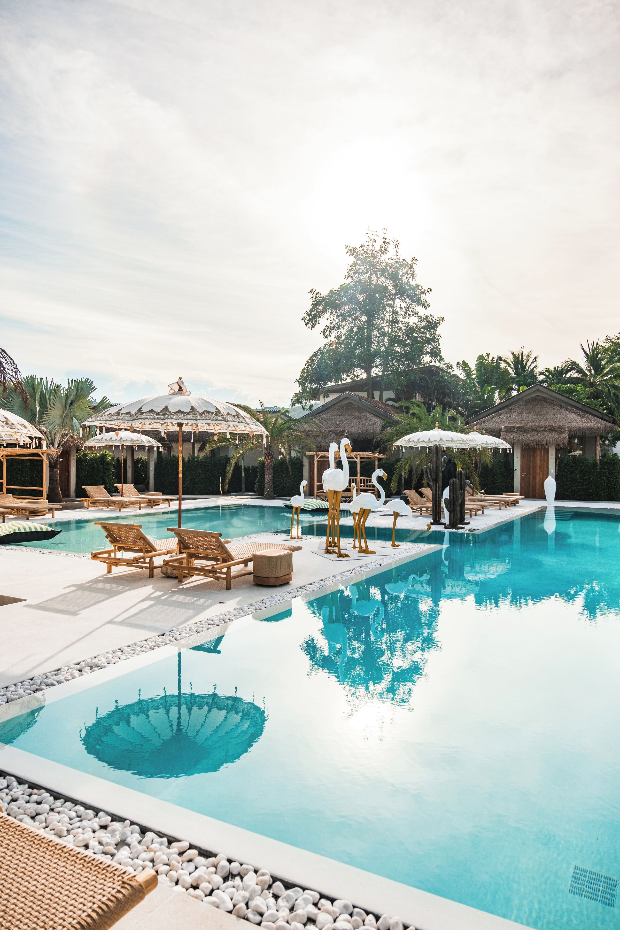 Un espace piscine agrémenté de chaises longues, de parasols et d’une végétation luxuriante.