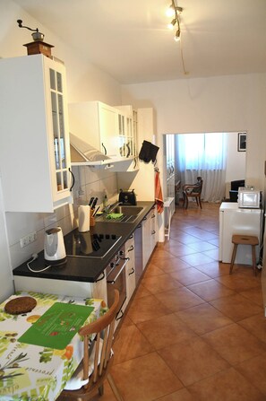 Frigorífic, microones, placa de cuina i rentaplats