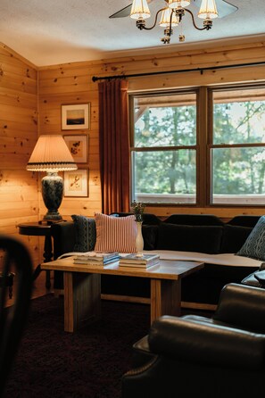 Smart TV, fireplace, books