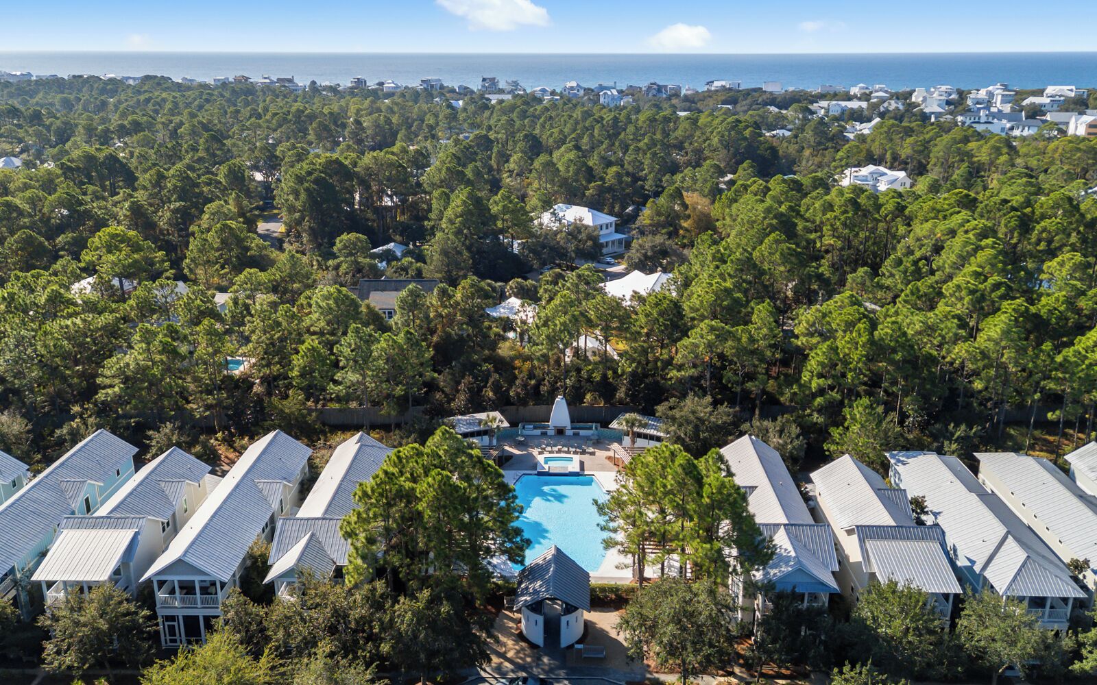 A residential area with multiple houses, a swimming pool, and a view of the ocean.