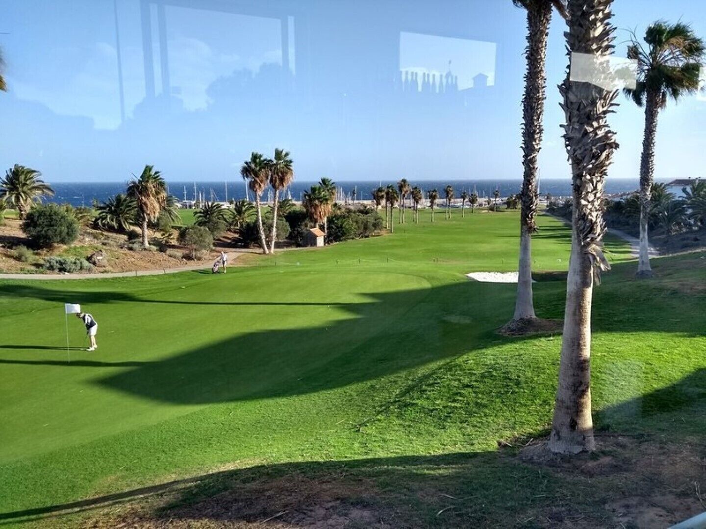 Un parcours de golf offrant une vue dégagée sur l’océan et les palmiers.
