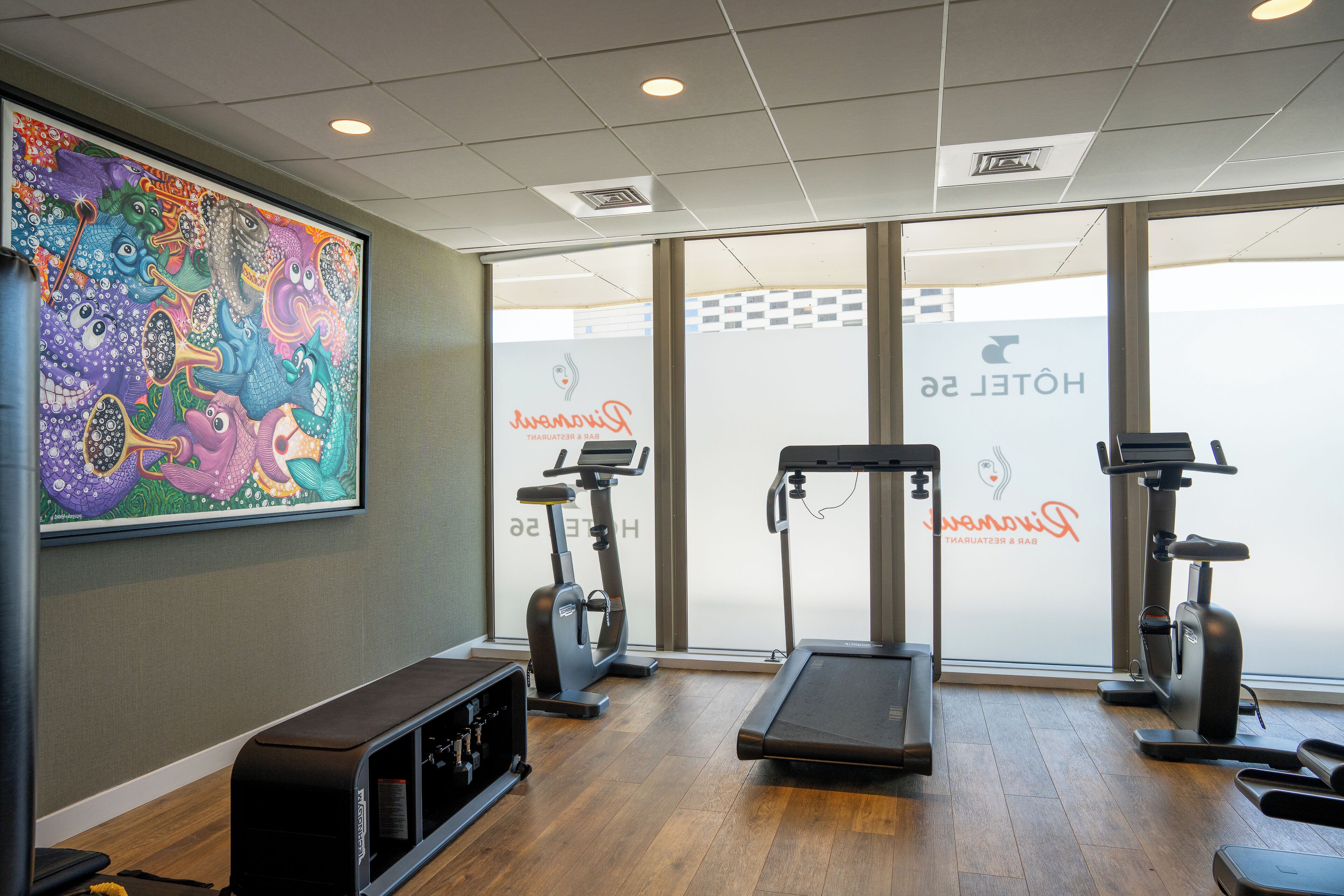 A gym with treadmills, an elliptical, and a bench.