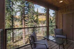 Property grounds - Black Bear Townhome (End Unit) across from Purgatory - Views - Ski Shuttle (Durango)