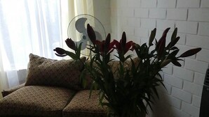 A living room with a wooden coffee table, a sofa, and a potted plant.