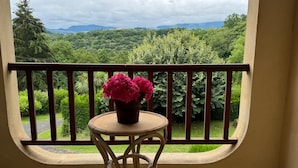 Un balcón con vistas a un paisaje verde exuberante y montañas a lo lejos.