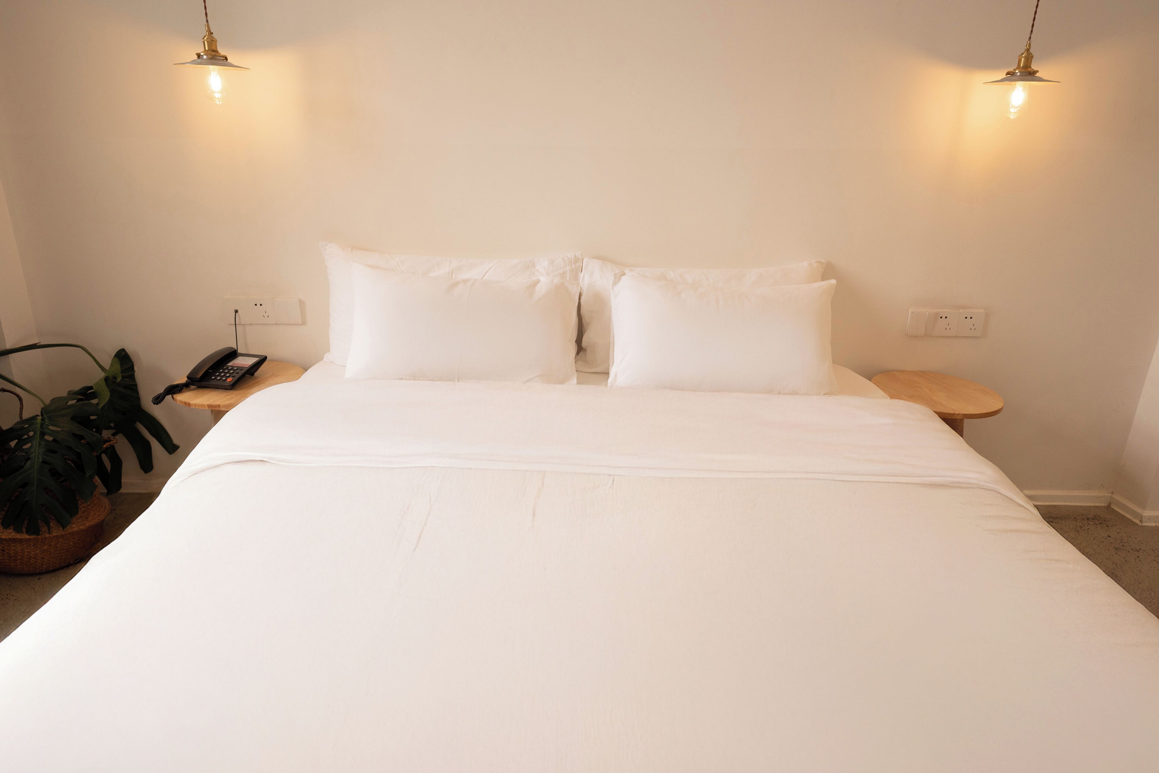 A neatly made bed with white linens, two bedside tables with lamps, and a potted plant on the left.