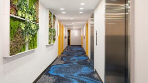 Un couloir avec un tapis bleu, des jardinières vertes fixées au mur et un ascenseur métallique.