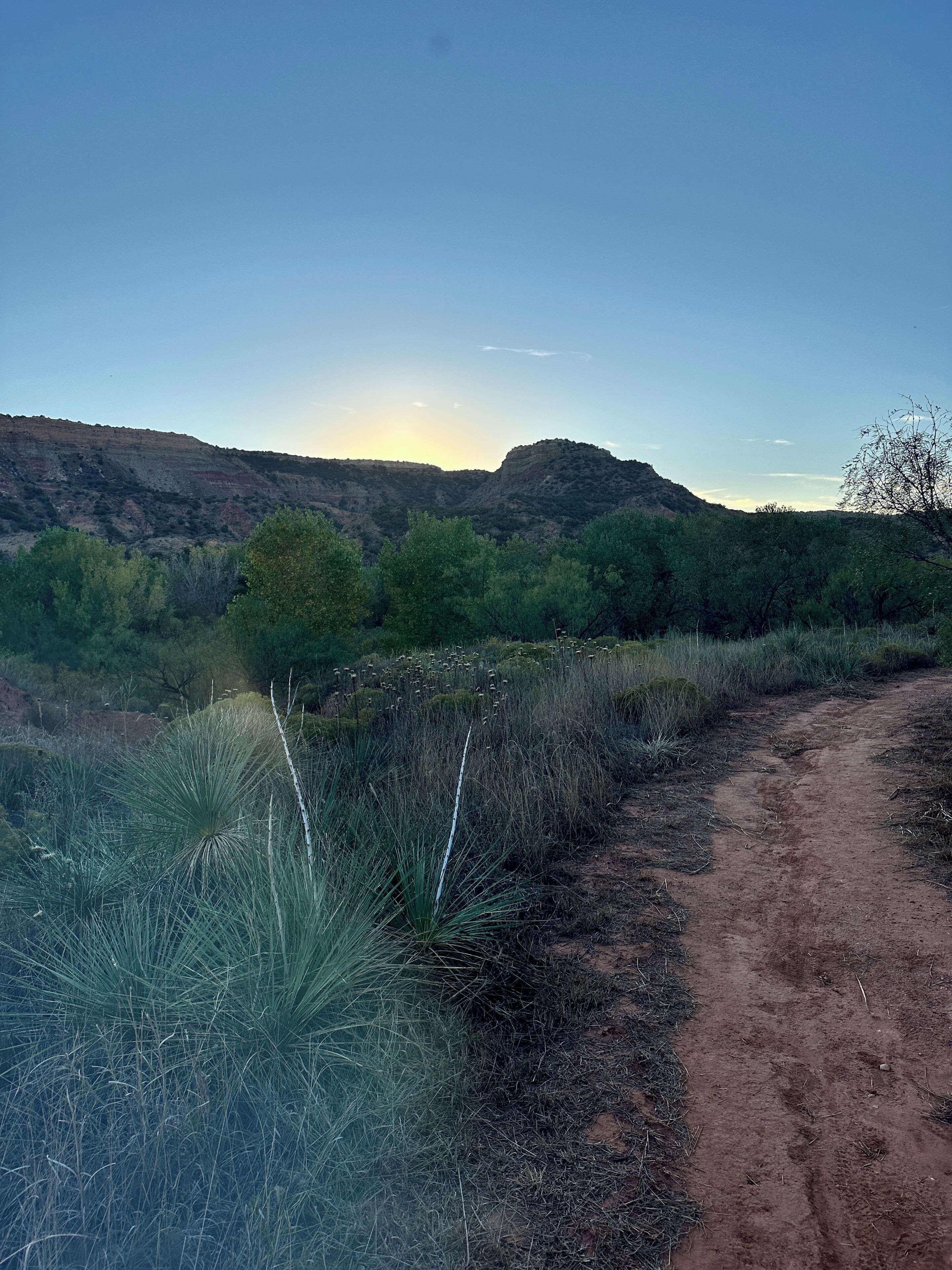 A dirt path leading through a natural landscape with sparse vegetation and hills in the background.
