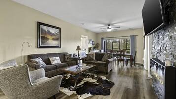 Smart TV, fireplace, books