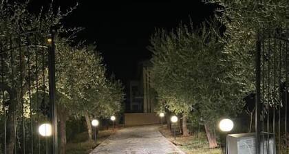 Apartment - Sleeps 4 - Pet Friendly