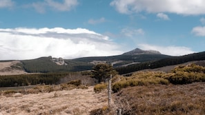 Miscellaneous - Cozy Caravan at Volcano Foot – Hiking with Donkey & Goat Available ! (SAINT-FRONT)